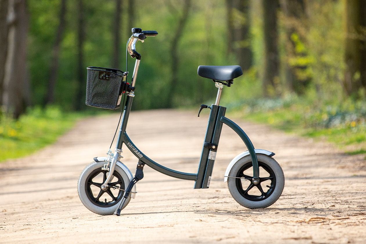 Van Raam City balance bike for adults