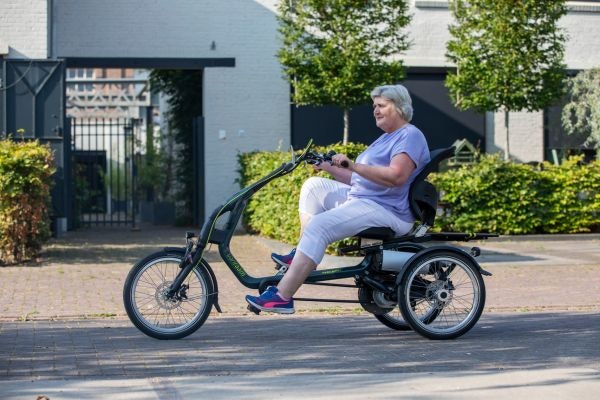 Insure Van Raam special needs bike