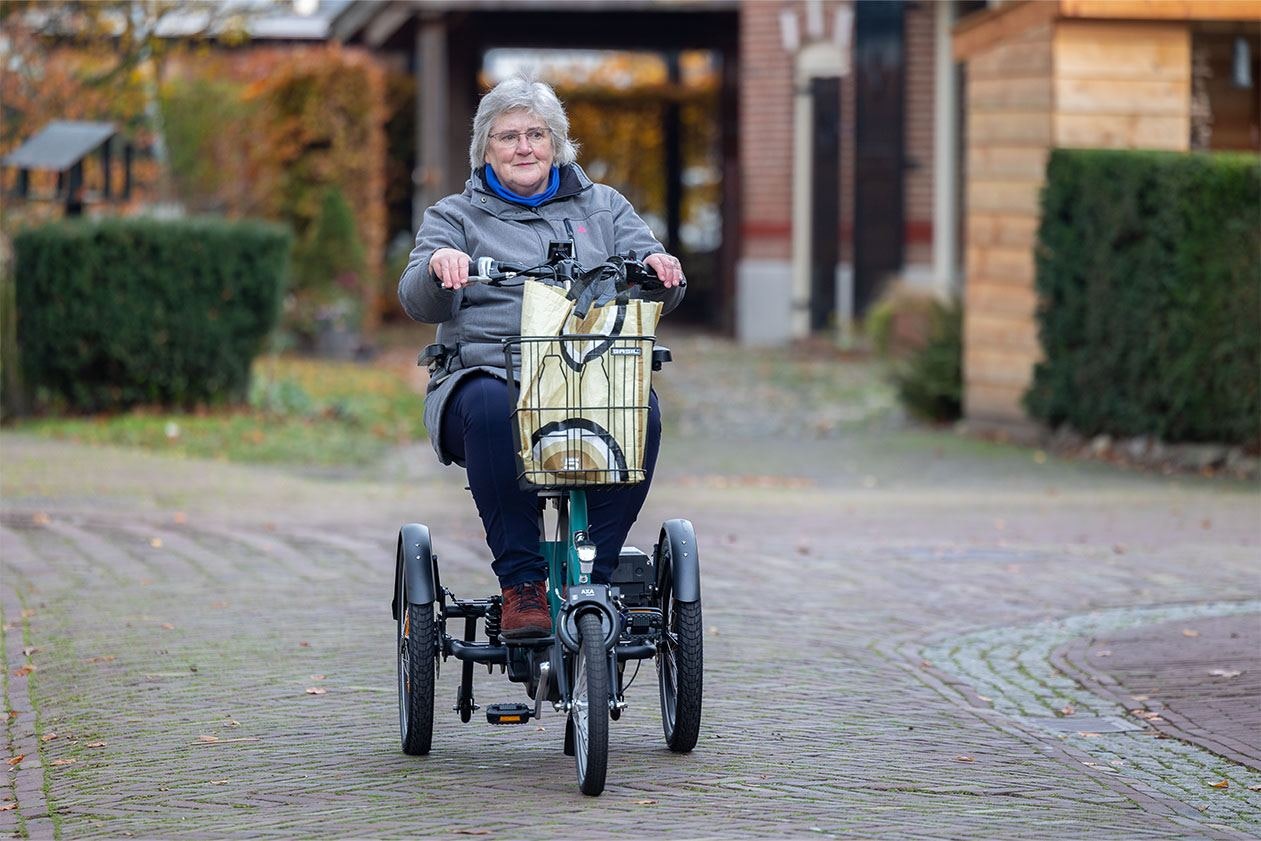 Electric bike and scooter trike Easy Go Van Raam