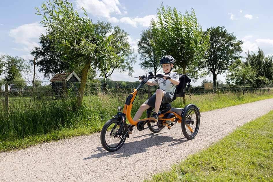 easy rider compact small tricycle for kids van raam